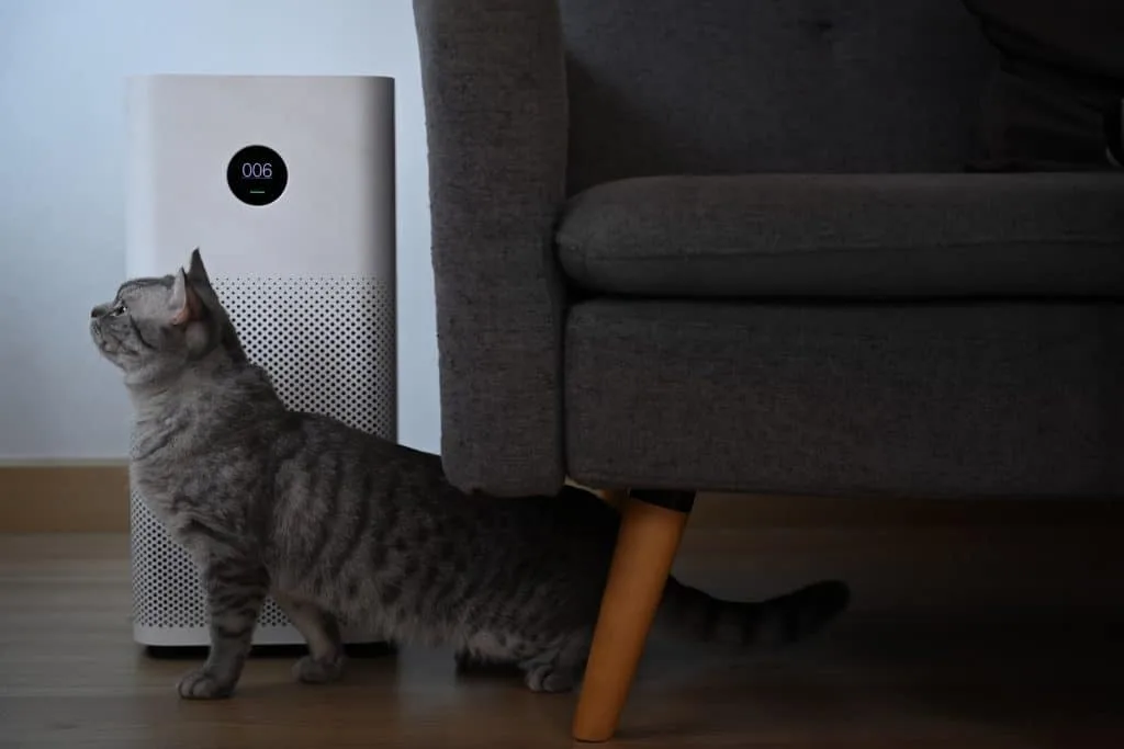Adorable cat and Air purifier on wooden floor in living room. Air Pollution Concept.