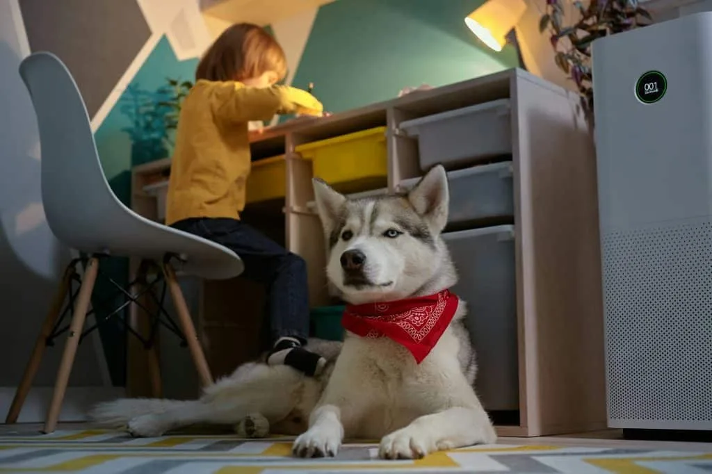 Air purifier in the children's room with an allergy child and a dog