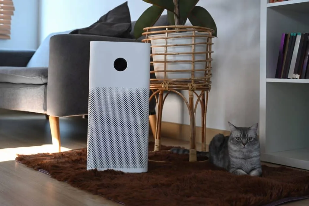 Cute cat and Air purifier with digital monitor screen on floor in living room.