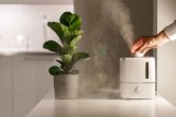 Air Purifier vs Air Humidifier: Key Differences and Benefits Explained