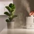 Tobacco Smoke Air Purifier: Top Solutions for Clean Indoor Air